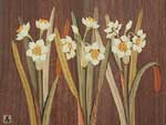 Zougan Suisen(Narcissus)