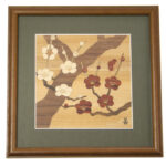 Zougan Japanese apricot