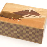 Japanese puzzle box 10steps Hakone pass